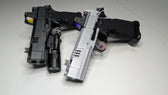 Romulus Tactical Package – dscgunworks